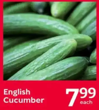 Oxford Freshmarket English Cucumber offer