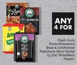 Save Rajah Curry Power/ Robertsons Braai & Grill/ Aromat/ Robertsons Spice Sachet offer