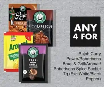 Save Rajah Curry Power/ Robertsons Braai & Grill/ Aromat/ Robertsons Spice Sachet offer