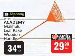 KitKat Cash and Carry ACADEMY Makhulu Leaf Rake Wooden Handle offer