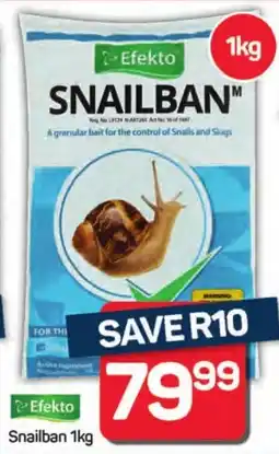 Pick n Pay Hypermarket Efekto Snailban offer