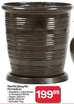 Pick n Pay Hypermarket The Pot Story Rib Pot Medium offer