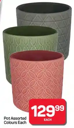 Pick n Pay Hypermarket Pot Assorted Colours offer