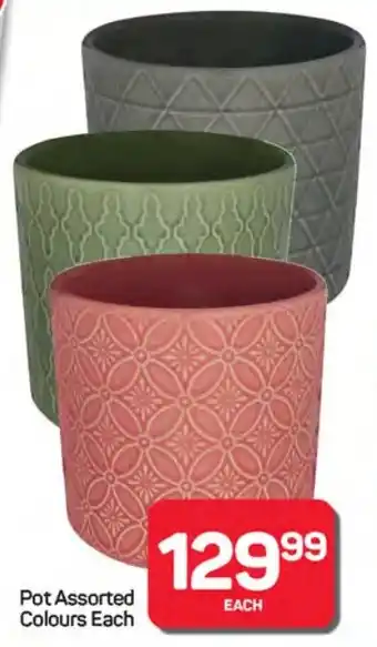 Pick n Pay Hypermarket Pot Assorted Colours offer