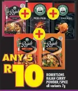 Shoprite ROBERTSONS RAJAH CURRY POWDER/SPICE offer