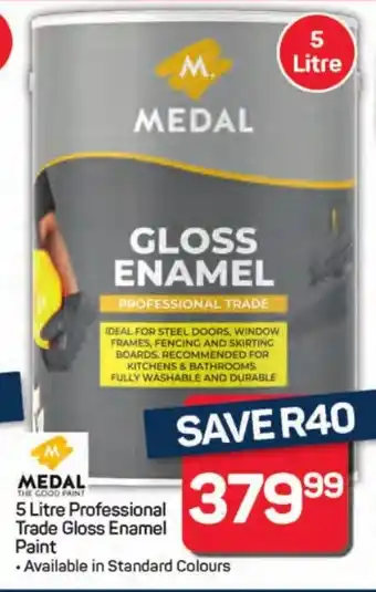 Pick n Pay Hypermarket Medal Professional Trade Gloss Enamel Paint offer