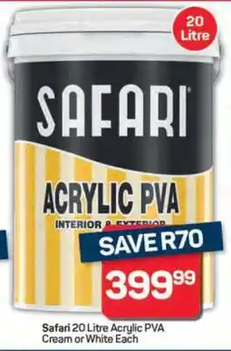 Pick n Pay Hypermarket Safari Acrylic PVA offer