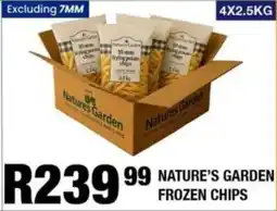Take 'n Pay Nature's Garden Frozen Chips offer