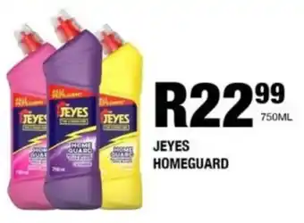 Take 'n Pay Jeyes homeguard offer