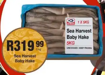 Take 'n Pay Sea Harvest Baby Hake offer