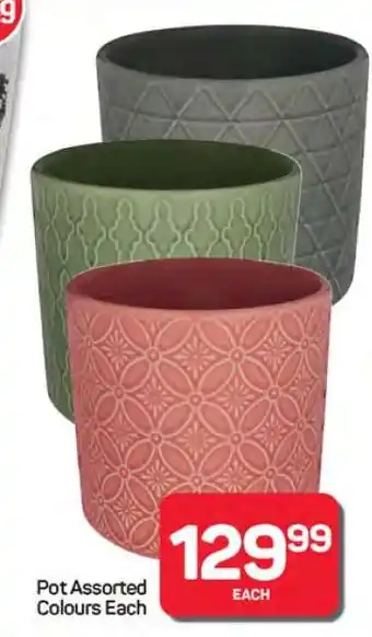 Pick n Pay Hypermarket Pot Assorted Colours Each offer