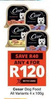 Checkers Cesar Dog Food offer