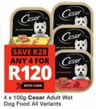 Checkers Cesar Adult Wet Dog Food All Variants offer