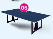 Game Shoot Table Tennis Table TT500 offer
