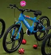 Raleigh 20 Vortex Mountain Bike