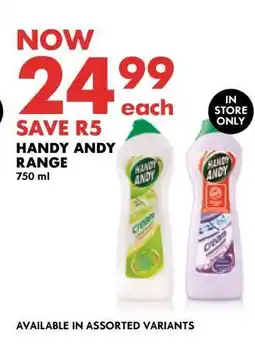 Woolworths Handy Andy Range offer