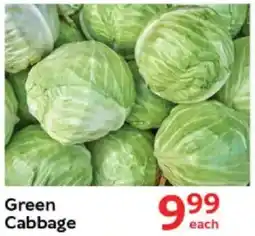 Oxford Freshmarket Green Cabbage offer