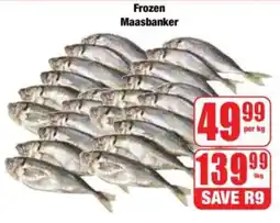 Boxer Frozen Maasbanker offer