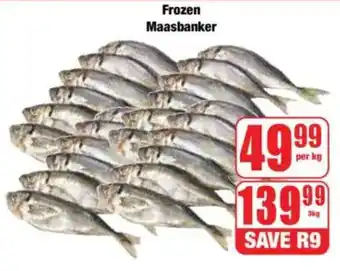 Boxer Frozen Maasbanker offer