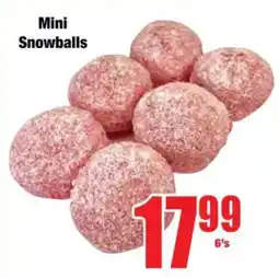 Boxer Mini Snowballs offer