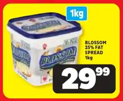 Usave Blossom 25% fat spread offer
