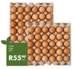 Save Hyper Large Eggs offer