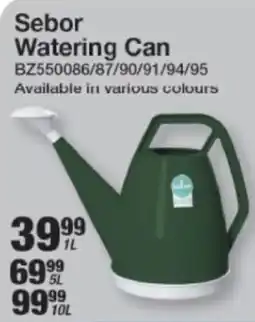 Mica Sebor Watering Can offer