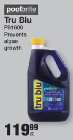 Mica Poolbrite Tru Blu offer