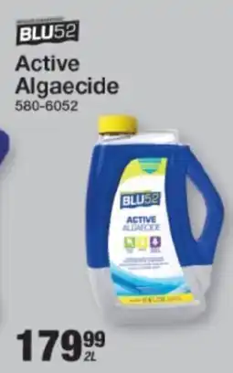 Mica BLU52 Active Algaecide offer