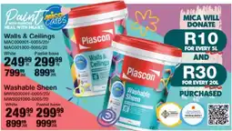 Mica Plascon Walls & Ceilings Pastel base offer