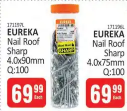 KitKat Cash and Carry EUREKA Nail Roof Sharp 4.0x90mm Q:100 offer