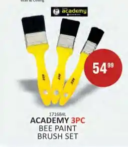 KitKat Cash and Carry ACADEMY 3pc Bee Paint Brush Set offer