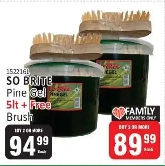 KitKat Cash and Carry SO BRITE Pine Gel 5lt + Free Brush offer