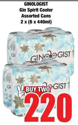 Boxer GINOLOGIST Gin Spirit Cooler Assorted Cans 2 x (6 x 440ml) offer