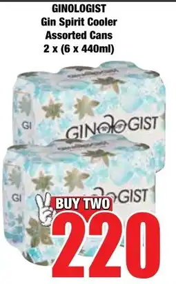 Boxer Superstores GINOLOGIST Gin Spirit Cooler Assorted Cans offer