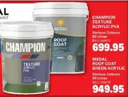 Cashbuild Champion texture acrylic pva offer