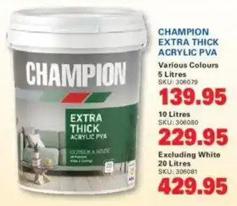 Cashbuild Champion extra thick acrylic pva offer