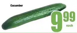 Boxer Cucumber offer