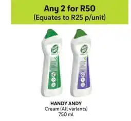 Makro HANDY ANDY offer
