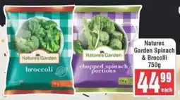 Frontline Natures Garden Spinach & Brocolli offer