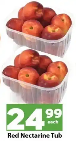Check Save Red Nectarine Tub offer