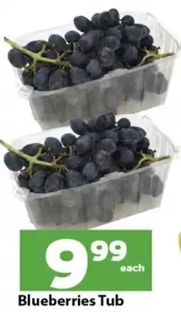 Check Save Blueberries Tub offer