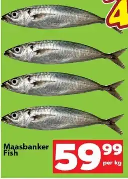 Check Save Maasbanker Fish offer