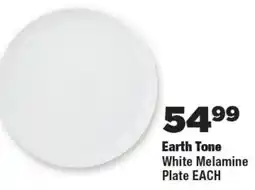 OK Foods Earth Tone White Melamine Plate offer