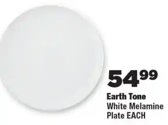 OK Foods Earth Tone White Melamine Plate offer