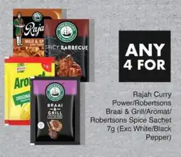 Save Rajah Curry Power/ Robertsons Braai & Grill/ Aromat/ Robertsons Spice Sachet offer