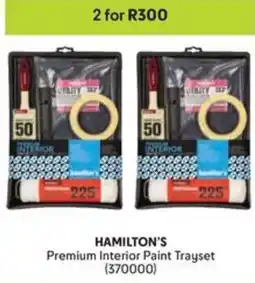 Makro HAMILTON'S Premium Interior Paint Trayset offer