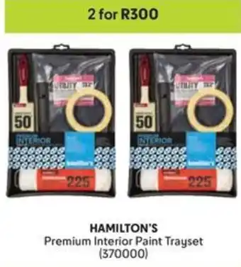 Makro HAMILTON'S Premium Interior Paint Trayset offer