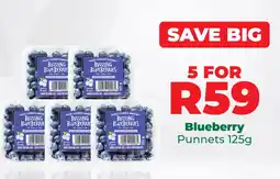 Food Lover's Market Blueberry Punnets offer