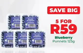 Food Lover's Market Blueberry Punnets offer